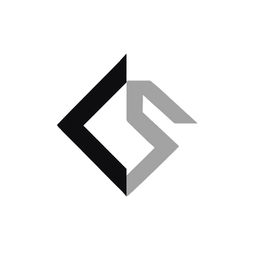 DS Logo